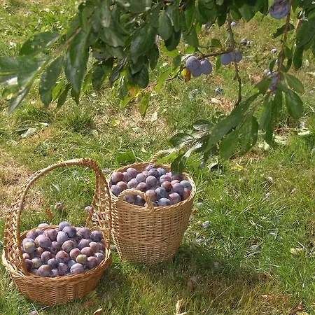 Waldstrasse Вальдсассен