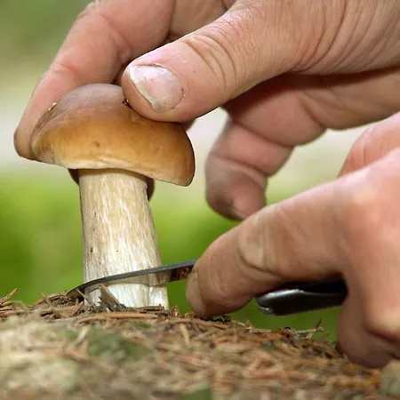 Waldstrasse Апартаменты