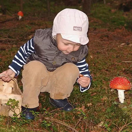 Апартаменты Waldstrasse Вальдсассен