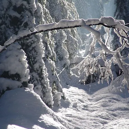 Waldstrasse Вальдсассен