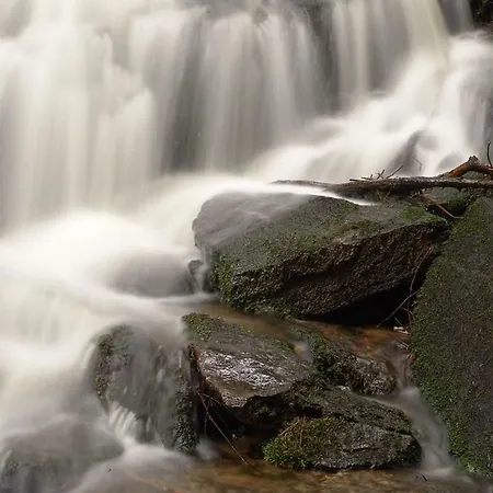 Apartment Waldstrasse Waldsassen